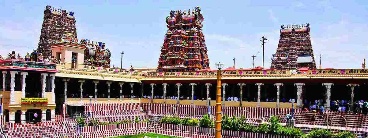 South India Tour (Temples and Nature)